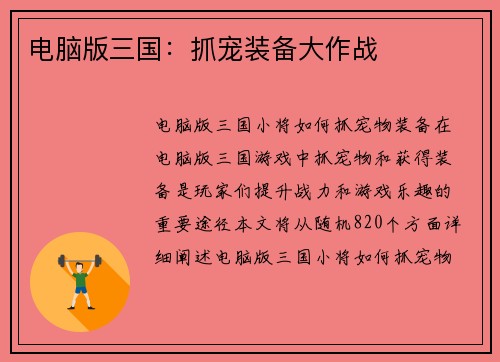 电脑版三国：抓宠装备大作战